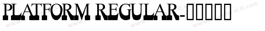 Platform regular字体转换